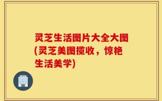 灵芝生活图片大全大图(灵芝美图揽收，惊艳生活美学)