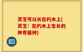 灵芝可以长在朽木上(灵芝：在朽木上生长的神奇菌种)