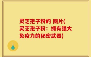 灵芝孢子粉的 图片(灵芝孢子粉：拥有强大免疫力的秘密武器)