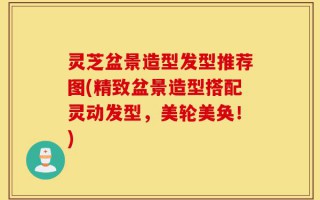 灵芝盆景造型发型推荐图(精致盆景造型搭配灵动发型，美轮美奂！)