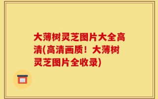 大薄树灵芝图片大全高清(高清画质！大薄树灵芝图片全收录)