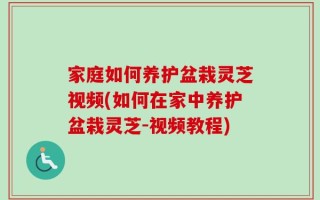 家庭如何养护盆栽灵芝视频(如何在家中养护盆栽灵芝-视频教程)