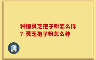 种植灵芝孢子粉怎么样？灵芝孢子粉怎么种
