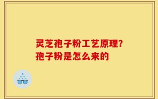 灵芝孢子粉工艺原理？孢子粉是怎么来的