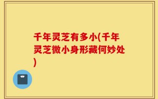 千年灵芝有多小(千年灵芝微小身形藏何妙处)