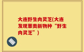 大连野生肉灵芝(大连发现蕈类新物种“野生肉灵芝”)