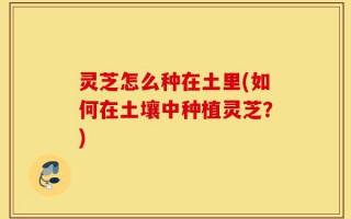 灵芝怎么种在土里(如何在土壤中种植灵芝？)