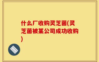 什么厂收购灵芝菌(灵芝菌被某公司成功收购)