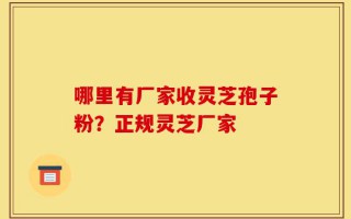 哪里有厂家收灵芝孢子粉？正规灵芝厂家
