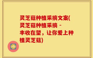 灵芝菇种植采摘文案(灵芝菇种植采摘 - 丰收在望，让你爱上种植灵芝菇)
