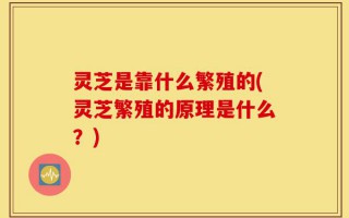 灵芝是靠什么繁殖的(灵芝繁殖的原理是什么？)