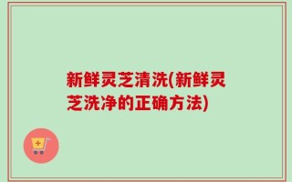 新鲜灵芝清洗(新鲜灵芝洗净的正确方法)