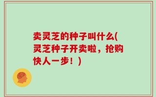 卖灵芝的种子叫什么(灵芝种子开卖啦，抢购快人一步！)