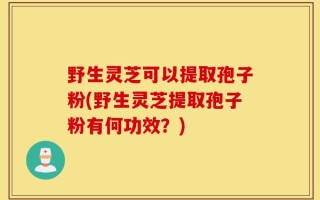 野生灵芝可以提取孢子粉(野生灵芝提取孢子粉有何功效？)