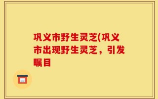 巩义市野生灵芝(巩义市出现野生灵芝，引发瞩目