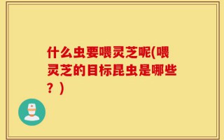 什么虫要喂灵芝呢(喂灵芝的目标昆虫是哪些？)
