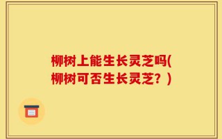 柳树上能生长灵芝吗(柳树可否生长灵芝？)