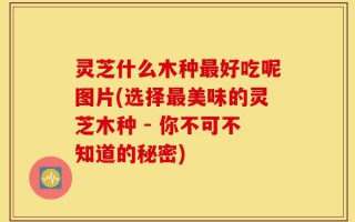 灵芝什么木种最好吃呢图片(选择最美味的灵芝木种 - 你不可不知道的秘密)