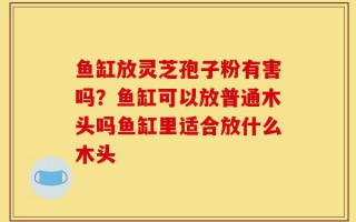 鱼缸放灵芝孢子粉有害吗？鱼缸可以放普通木头吗鱼缸里适合放什么木头