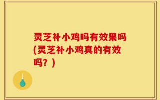 灵芝补小鸡吗有效果吗(灵芝补小鸡真的有效吗？)