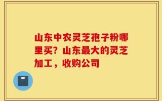 山东中农灵芝孢子粉哪里买？山东最大的灵芝加工，收购公司