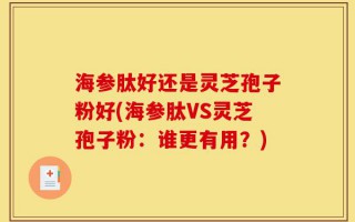 海参肽好还是灵芝孢子粉好(海参肽VS灵芝孢子粉：谁更有用？)
