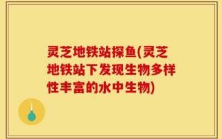 灵芝地铁站探鱼(灵芝地铁站下发现生物多样性丰富的水中生物)
