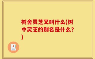 树舍灵芝又叫什么(树中灵芝的别名是什么？)