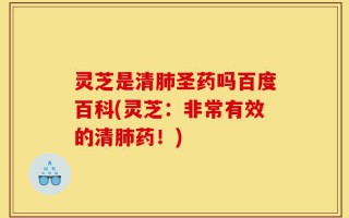 灵芝是清肺圣药吗百度百科(灵芝：非常有效的清肺药！)