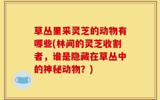 草丛里采灵芝的动物有哪些(林间的灵芝收割者，谁是隐藏在草丛中的神秘动物？)