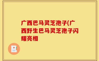 广西巴马灵芝孢子(广西野生巴马灵芝孢子闪耀亮相