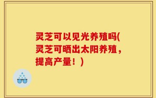 灵芝可以见光养殖吗(灵芝可晒出太阳养殖，提高产量！)