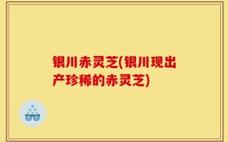 银川赤灵芝(银川现出产珍稀的赤灵芝)