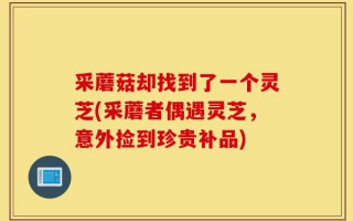 采蘑菇却找到了一个灵芝(采蘑者偶遇灵芝，意外捡到珍贵补品)