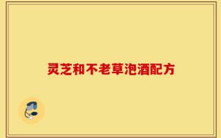 灵芝和不老草泡酒配方