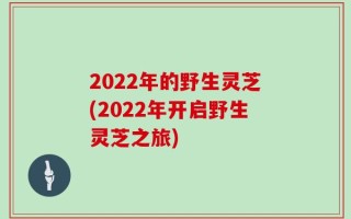 2022年的野生灵芝(2022年开启野生灵芝之旅)