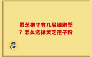 灵芝孢子有几层细胞壁？怎么选择灵芝孢子粉