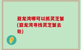 亚龙湾哪可以抓灵芝蟹(亚龙湾寻找灵芝蟹去处)