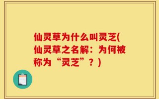 仙灵草为什么叫灵芝(仙灵草之名解：为何被称为“灵芝”？)