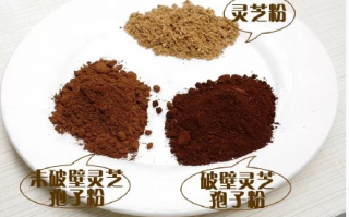 破壁灵芝孢子粉的功效与蜂蜜相配吗？