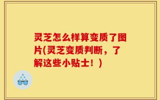 灵芝怎么样算变质了图片(灵芝变质判断，了解这些小贴士！)