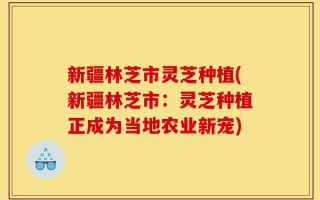 新疆林芝市灵芝种植(新疆林芝市：灵芝种植正成为当地农业新宠)