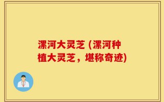 漯河大灵芝 (漯河种植大灵芝，堪称奇迹)