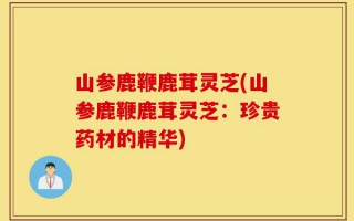 山参鹿鞭鹿茸灵芝(山参鹿鞭鹿茸灵芝：珍贵药材的精华)