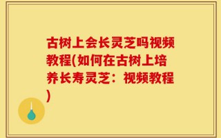 古树上会长灵芝吗视频教程(如何在古树上培养长寿灵芝：视频教程)