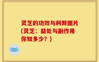 灵芝的功效与利弊图片(灵芝：益处与副作用你知多少？)
