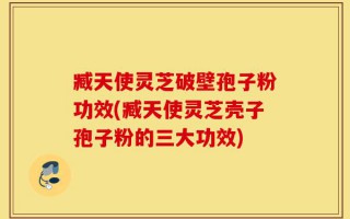 臧天使灵芝破壁孢子粉功效(臧天使灵芝壳子孢子粉的三大功效)