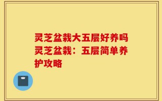 灵芝盆栽大五层好养吗灵芝盆栽：五层简单养护攻略
