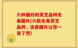 六种最好的灵芝品种无毒图片(六款无毒灵芝品种，这些图片让你一目了然)