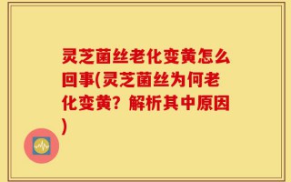 灵芝菌丝老化变黄怎么回事(灵芝菌丝为何老化变黄？解析其中原因)